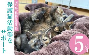 【南の島の動物愛護活動】保護猫活動等をサポート（5万円）