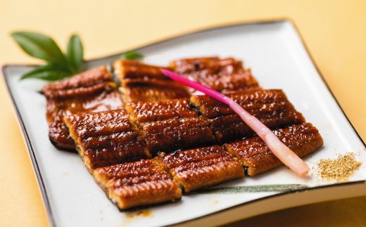 R6-067．【4ヵ月連続定期便】四万十市人気魚介＆お肉返礼品