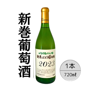 新巻ワイン デラウェア 167-027