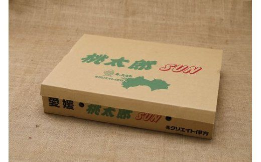 【産地直送】愛媛県伊方町産 桃太郎トマト（4kg、20～24玉）◇