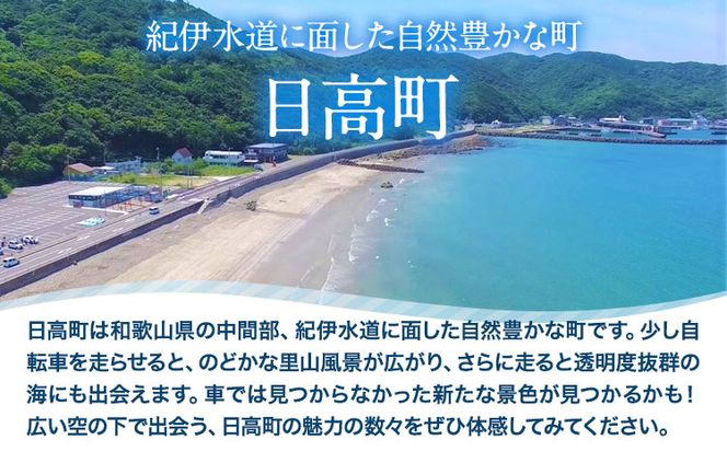 レンタサイクル１日 乗り放題券 1枚《30日以内に出荷予定(土日祝除く)》和歌山県 日高町 サイクリング 自転車 電動アシスト レンタル 体験 一日体験 体験チケット チケット ---iwsh_hdyumimy2_30d_23_17000_1m---