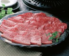 【A-231】大吉商店 近江牛 焼肉盛合せ　モモ・バラ　各２５０g／ 計５００g［高島屋選定品］