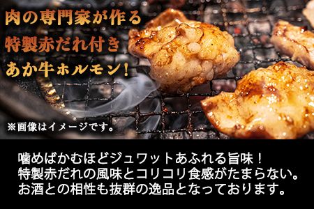 熊本県産 あか牛 焼肉 ホルモン 900g 肉のみやべ《120日以内に出荷予定(土日祝除く)》熊本県産 熊本県 御船町---sm_fmiyaakhr_120d_23_14500_900g---