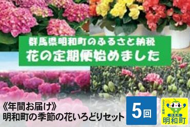 明和町の季節の花いろどりセット【年間5回お届け】|10_mkk-010505