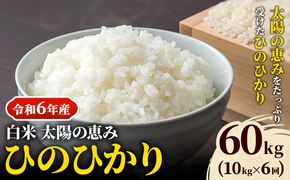 【令和6年産 予約受付】白米 岡山県産 ひのひかり 笠岡産 60kg(10kg×6回)《10月下旬-9月下旬頃出荷》農事組合法人奥山営農組合 太陽の恵み---O-06_60k_白米---