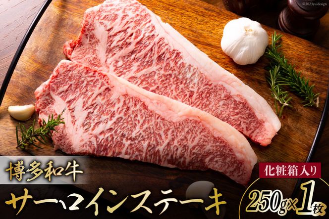 y}sza A4ȏ T[CXe[L 250g ϔ [MEAT PLUS  }s 21761016]