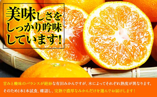 完熟有田みかん 10kg 株式会社魚鶴商店《2024年11月下旬-2025年2月上旬頃出荷》和歌山県 日高町 有田みかん ミカン 蜜柑 フルーツ 柑橘---wsh_utsam_l112_23_17000_10kg---