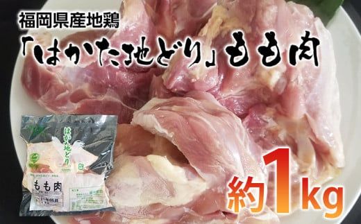 福岡県産地鶏「はかた地どり」もも肉(約1kg)