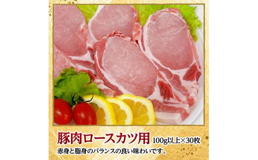 宮崎県産豚肉　ロースとんかつ用（100g以上×30枚） 【 豚肉 豚 肉 宮崎県産 ロースカツ 送料無料 】[C11620