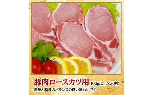 宮崎県産豚肉ロースとんかつ用30枚 【 豚肉 豚 肉 宮崎県産 ロースカツ 送料無料 】[D11606]