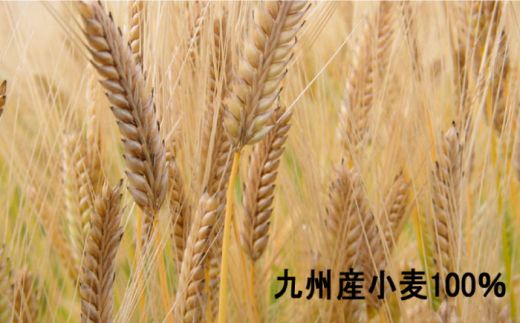 【国産 小麦 100％】島原 手延 素麺 2kg / 南島原市 / 野村屋 [SCS005]