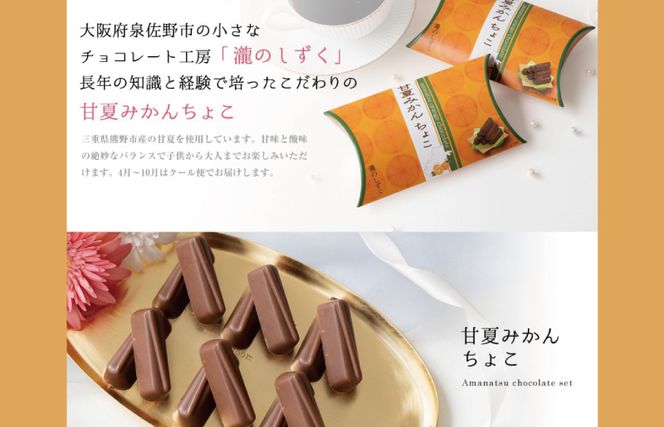 G1084 【スピード発送】甘夏みかんチョコレート 2箱セット  瀧のしずく