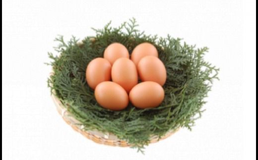 【B3-011】うちのたまご醤油セット(2回お届け)