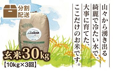 C029 しのめ清流米　玄米30㎏【3回分割配送】