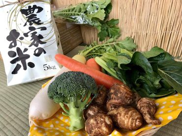 【栽培期間農薬不使用】お米と野菜セット (KBE-22)
