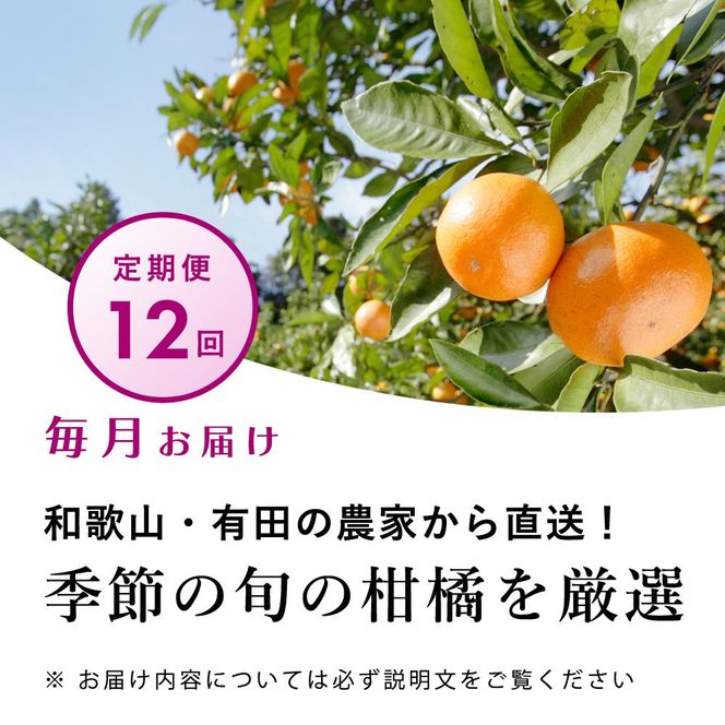 【 毎月発送 全12回 】 柑橘定期便B【IKE10】BB90149