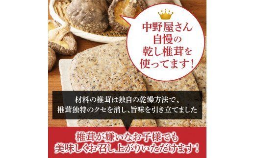  椎鶏（しいチキン）の無添加ハンバーグ1kg_10127Z