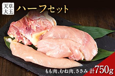 天草大王 ハーフセット 約750g[幻の地鶏]もも・むね・ささみ各1枚 熊本県産 玉東町[60日以内に出荷予定(土日祝除く)]---dg_fasohalf_60d_r7_11000_750g---