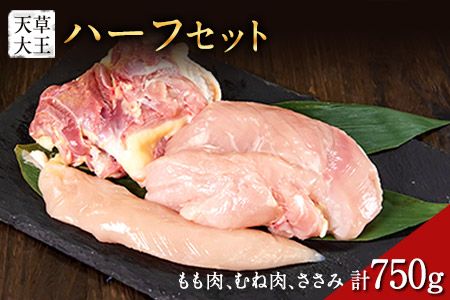 天草大王 ハーフセット 約750g[幻の地鶏]もも・むね・ささみ各1枚 熊本県産 玉東町[60日以内に出荷予定(土日祝除く)]---dg_fasohalf_60d_24_11000_750g---