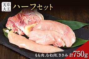天草大王　ハーフセット 約750g【幻の地鶏】もも・むね・ささみ各1枚 熊本県産 玉東町《60日以内に出荷予定(土日祝除く)》---dg_fasohalf_60d_r7_11000_750g---