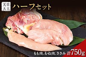 天草大王　ハーフセット 約750g【幻の地鶏】もも・むね・ささみ各1枚 熊本県産 玉東町《60日以内に出荷予定(土日祝除く)》---dg_fasohalf_60d_24_11000_750g---