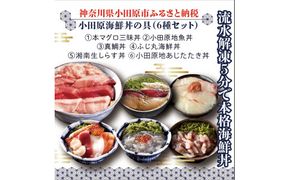 111-1622　【高級食材本マグロ、曽我の梅干し、小田原地あじ、小田原港直送地魚丼、大磯港直送、湘南生しらす】小田原海鮮丼の具（6種セット）