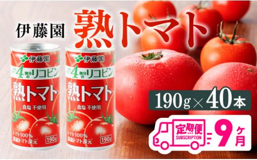 y{茧쒬zy9ցzɓ ng}g 190×40{y S9 ؈ ؃W[X ؏` g}gW[X W[X  \tghN ng}gz [D07315t9]