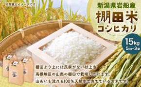 【令和7年産米】新潟県村上市 岩船産  棚田米 コシヒカリ 5kg×3　C4017
