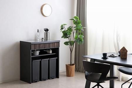 RESE(レセ)80カウンターダスト 【キッチンカウンター レンジ 食器 食器棚 キッチン 家具 国産 収納 台所収納 完成品】(H060660)