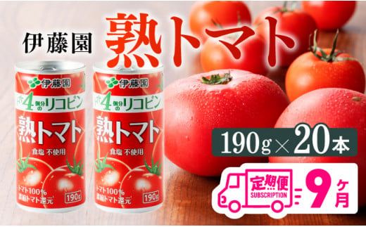 y{茧쒬zy9ցzɓ ng}g 190×20{y S9 ؈ ؃W[X ؏` W[X g}gW[X  \tghN ng}gz [D07314t9]