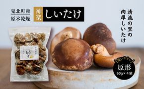 【神楽しいたけ】原木乾燥しいたけ（原形 60gx4） ｜ きのこ しいたけ 原木 乾燥しいたけ 肉厚  特産品 愛媛県 鬼北町