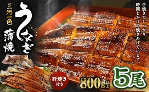 三河一色うなぎ蒲焼 5尾 合計800g以上 (肝焼き付き) うなぎ 蒲焼 鰻