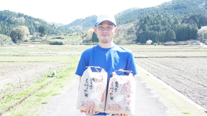 米【令和6年度米】八百津町産コシヒカリ！ 10kg　数量限定 459