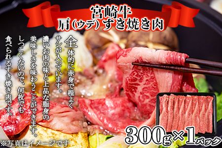 ＜宮崎牛サーロインステーキ ＆ 宮崎牛肩（ウデ）すき焼き肉セット 合計500g＞翌月末迄に順次出荷【b0381_ty】
