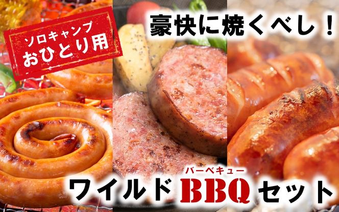 y啪szɏĂׂIChBBQ\LvZbg_2250R