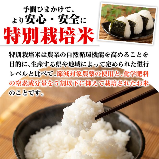isa539 【定期便】令和6年産 特別栽培米 伊佐米永池ひのひかり(計9kg・3kg×3ヶ月)【エコファーム永池】