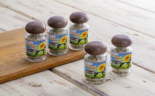0B1-96 ひまわりソルト（35g×5本）