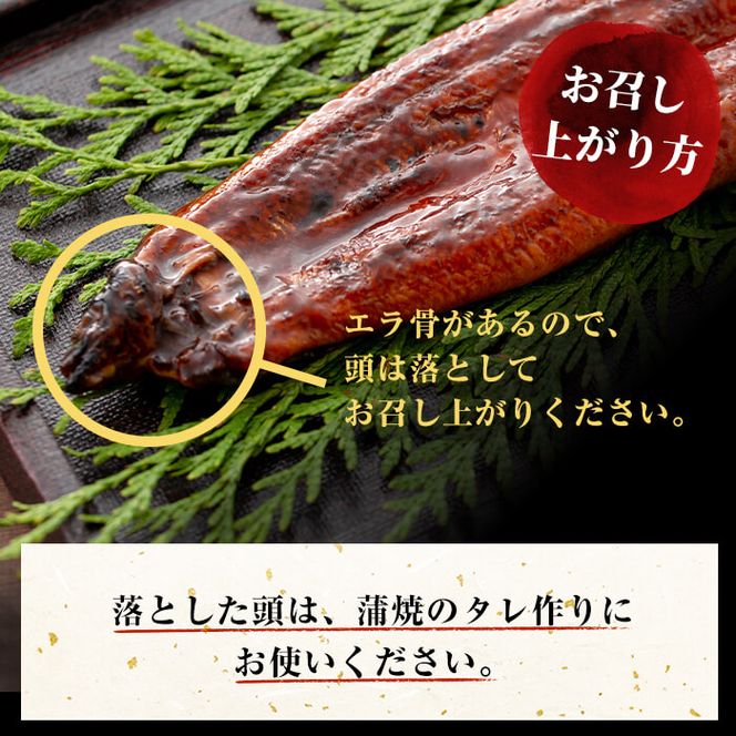 【ギフト対応】楠田の極うなぎ 蒲焼き150g以上×4尾(計600g以上) b6-010