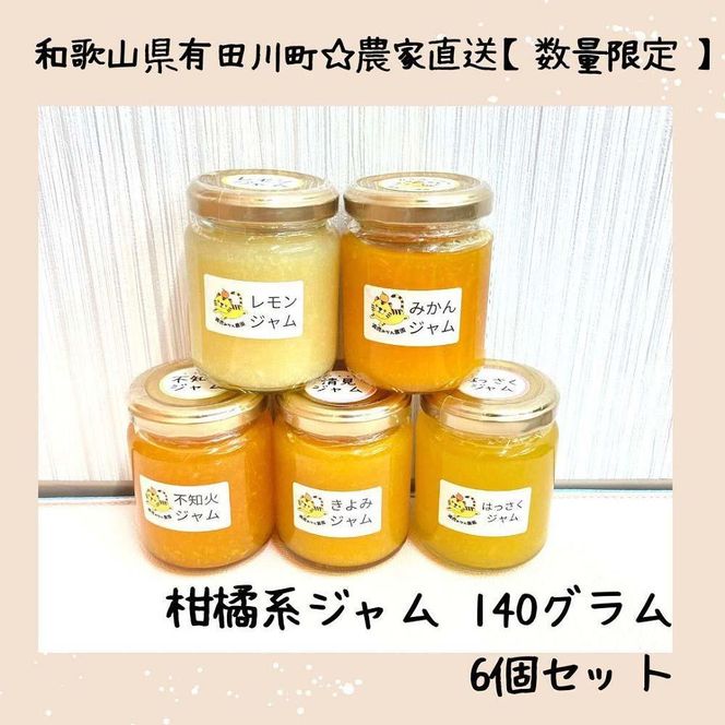 ［お中元］農家直送！数量限定！店主にお任せ 無添加 柑橘ジャム140ｇ×6個 ［2026年7月1日～8月5日ごろ順次発送］ DB025-GFT