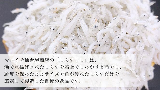 y錧vsz炷 V 800g(400g×2)iʕԗiF錧ksj Y VN I r[ ܂ т̂ T_  qǂ N JVE [CZ001us] 