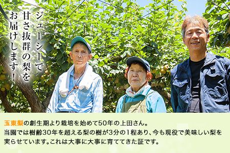 上田果樹園の元祖！玉東梨(旬の品種をお届けします)約3kg(4玉-10玉)  《7月下旬-9月下旬頃出荷》 熊本県玉名郡玉東町 なし 果物 スイーツ デザート---sg_cuednasi_p79_r8_12000_3kg---