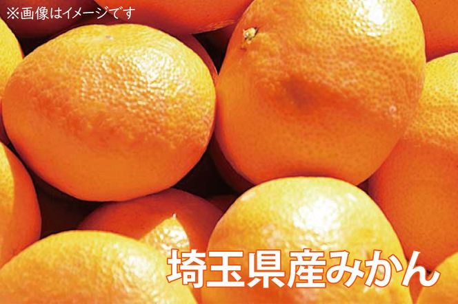 【先行予約】【10月中旬より発送開始】みかん狩り　ペア招待券（お土産付き）【埼玉県 春日部市 ふるさと納税 観光 農業体験 レジャー 予約 チケット カップル シニア おでかけ】（CH001-1）