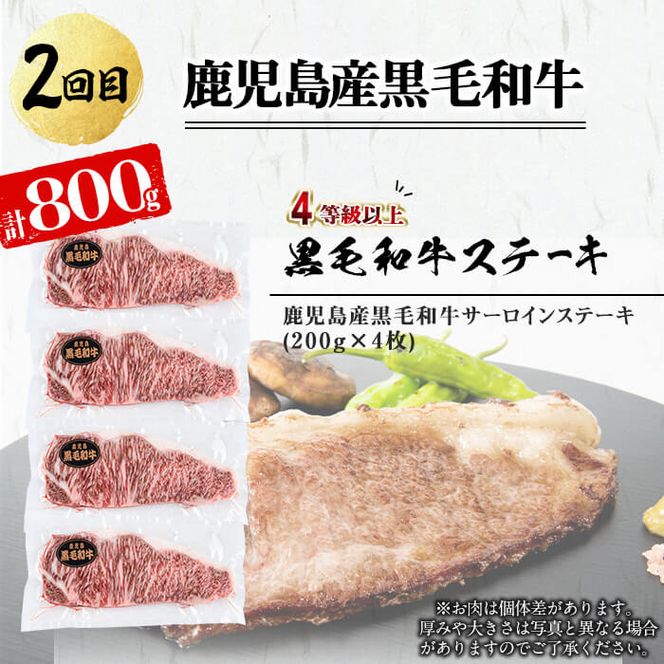 《定期便・全2回》鹿児島県産 黒毛和牛&黒豚 極上ステーキ定期便＜計12枚・2.1kg＞ 肩ロースしゃぶしゃぶと大根ぽんず付き! t0054-002