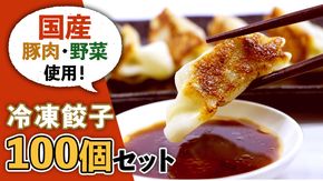 国産豚肉！国産野菜使用！冷凍餃子100個セット 冷凍食品 惣菜 中華惣菜 まとめ買い [BE02-NT]