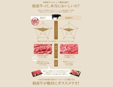 032AA01N.いちかわ精肉店「サーロインステーキ」200ｇ×5