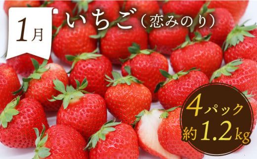 【年6回 奇数月コース】＜2026年1月～初回発送＞果物屋が選ぶ旬のフルーツ定期便 いちご メロン ハウスみかん 梨 柿 など / 南島原市 / 贅沢宝庫 [SDZ021]