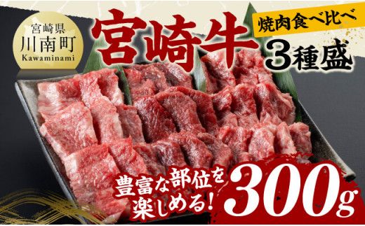 宮崎牛 焼肉 食べ比べ 3種盛 300g 【 肉 牛肉 国産 宮崎県産 黒毛和牛 和牛 焼肉 バーベキュー 】[D11416]