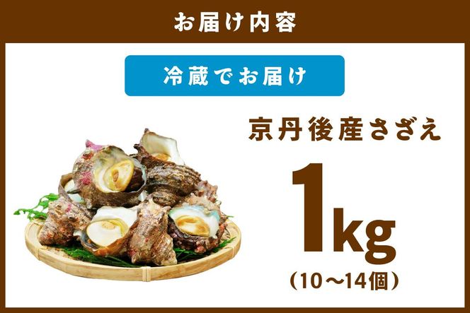 【北畿水産　活きたまま発送】京丹後産さざえ1kg（10個から14個）　HK00270