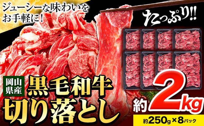 牛肉 肉 黒毛和牛 切り落とし 訳あり 大容量 小分け 2kg 1パック 250g 《30日以内に出荷予定(土日祝除く)》岡山県産 岡山県 笠岡市 お肉 にく カレー 牛丼 切り落し 切落し---223_f652_30d_23_18500_2kg---