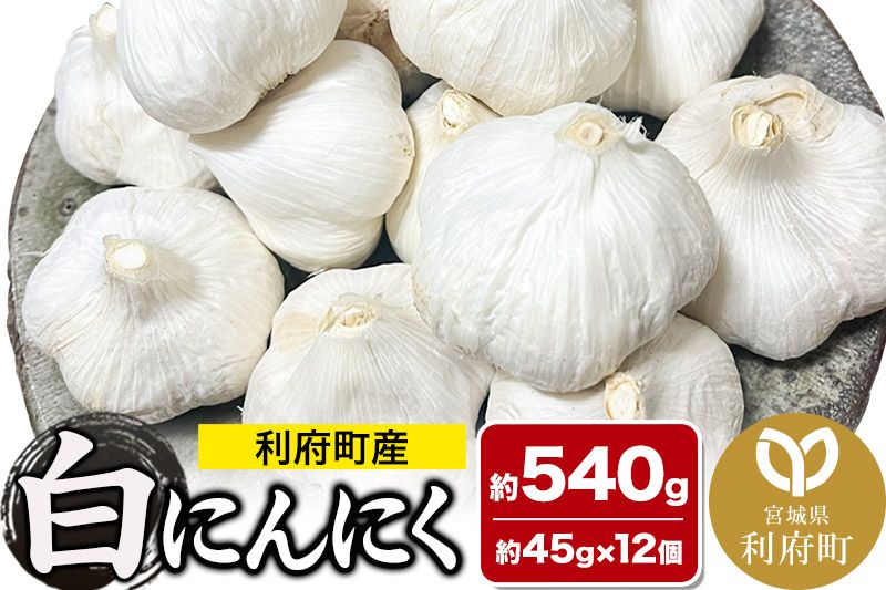 宮城県利府町産 白にんにく(約45g×12個 約540g)野菜 国産 新鮮|06_mlc-020101